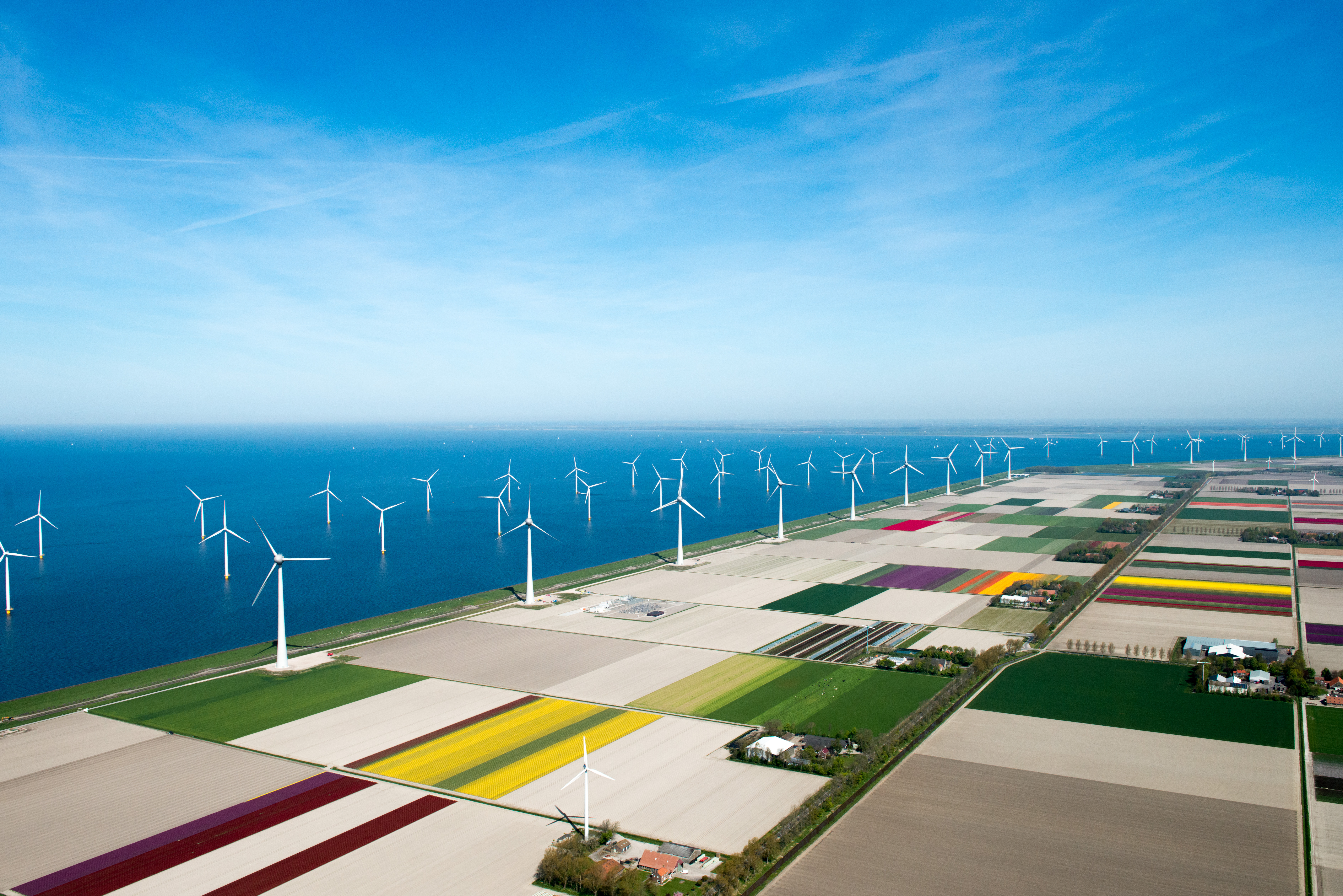 Windfarm Noordoostpolder
