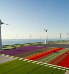 Windpark Noordoostpolder